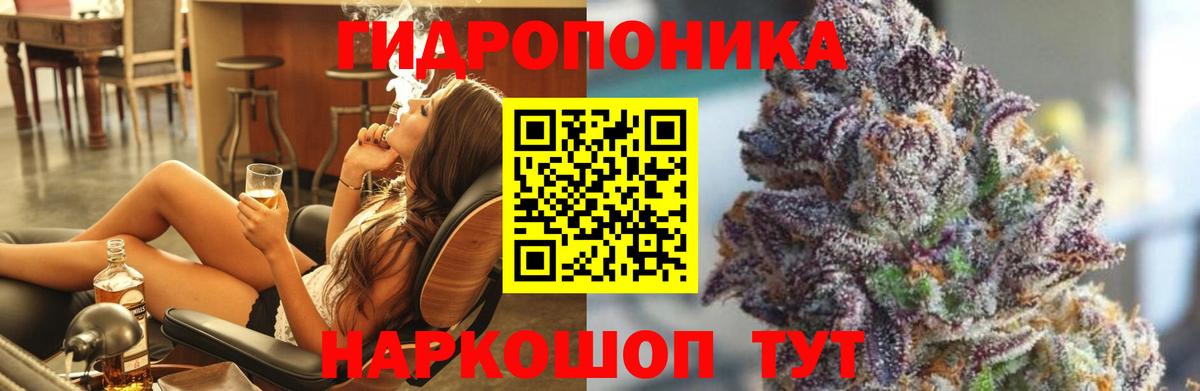 Бошки марихуана планчик Кохма