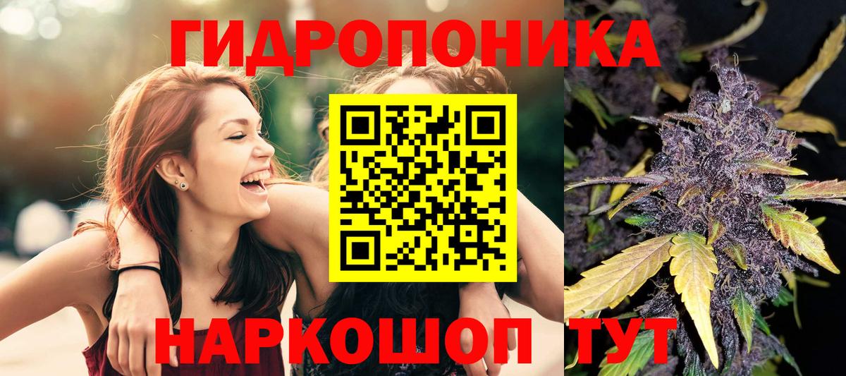 Кохма  Конопля AK-47  Каннабис конопля  Канабис VHQ  Каннабис план  Вход с VPN 